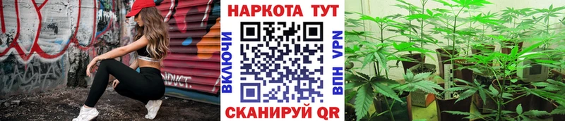 Меф Кашин