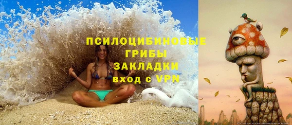 скорость Алзамай