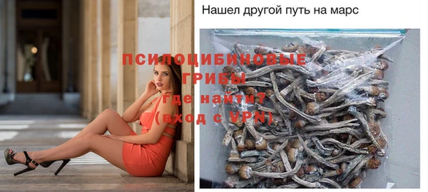 скорость Алзамай