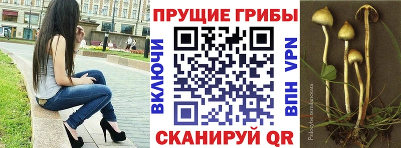 Псилоцибиновые грибы GOLDEN TEACHER  Кашин 